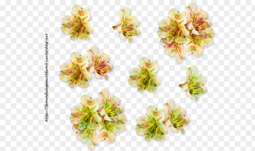 Tube Flower Bouquet Web Browser PNG