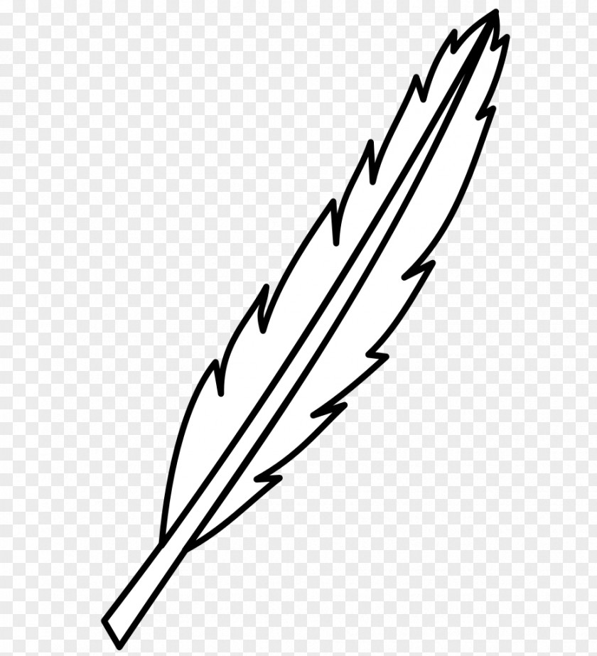 Bird Feather Figura Clip Art PNG