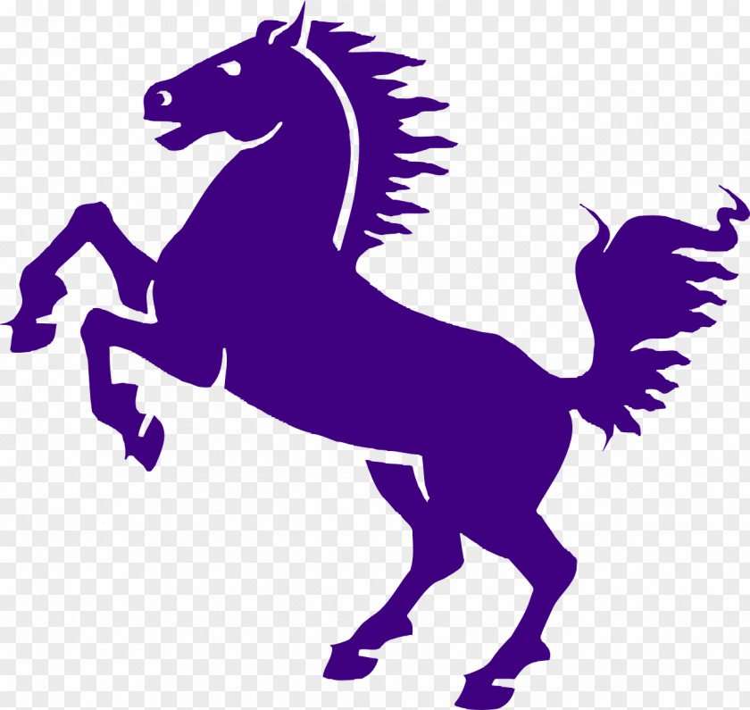 Mustang Friesian Horse Arabian American Quarter Clip Art PNG