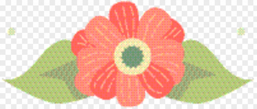 Textile Transvaal Daisy Peach PNG