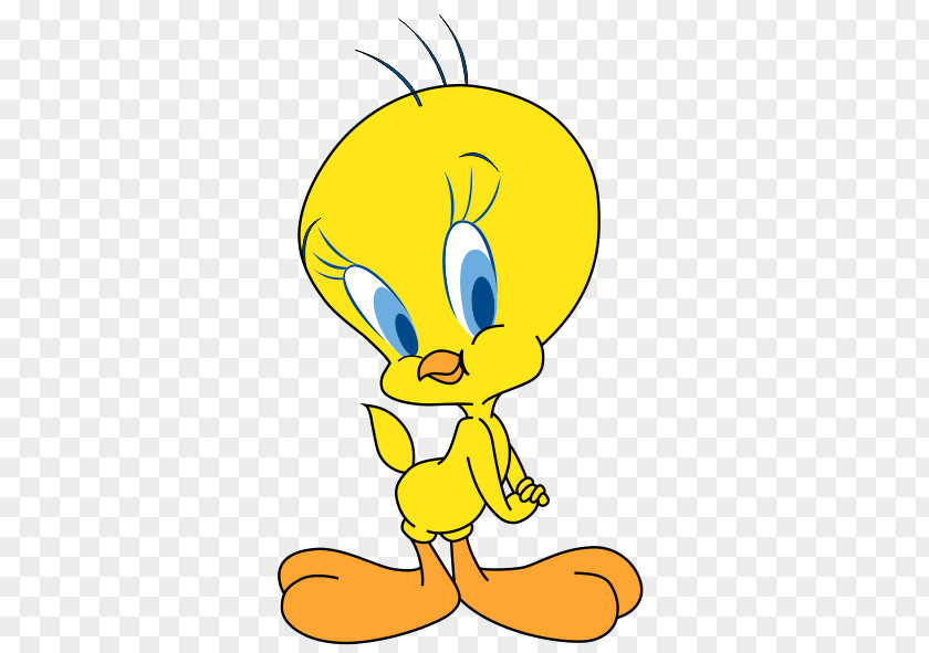 Tweety Sylvester Cartoon Looney Tunes Drawing PNG