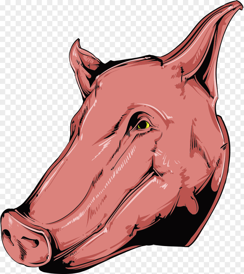Vector Cartoon Boar Domestic Pig Illustration PNG