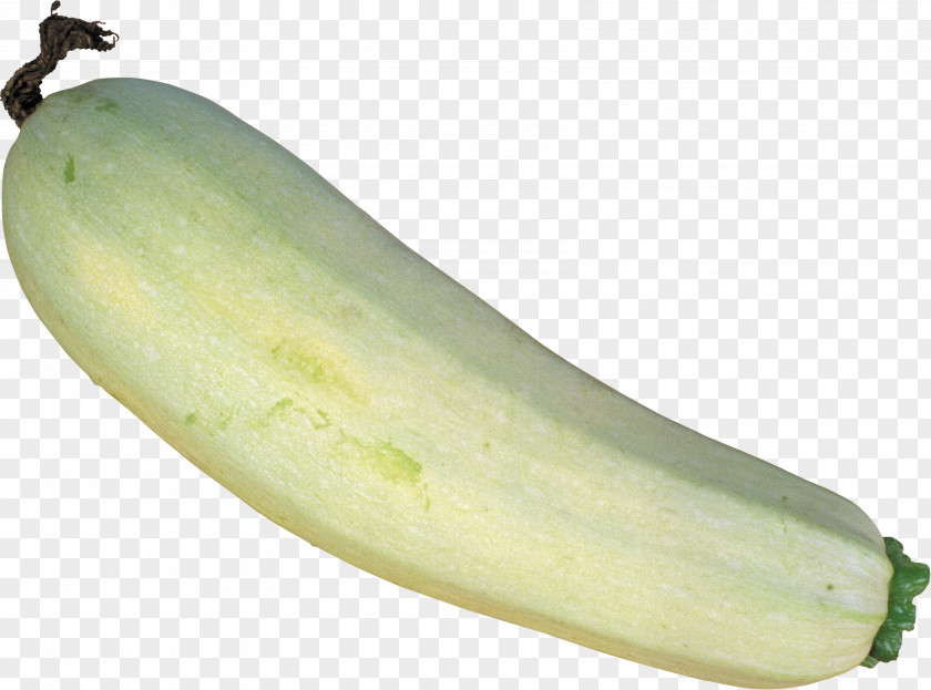 Vegetable Zucchini Cucurbita Pepo Clip Art PNG