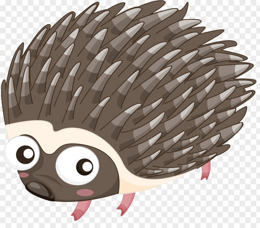 A Hedgehog Cartoon Porcupine Illustration PNG