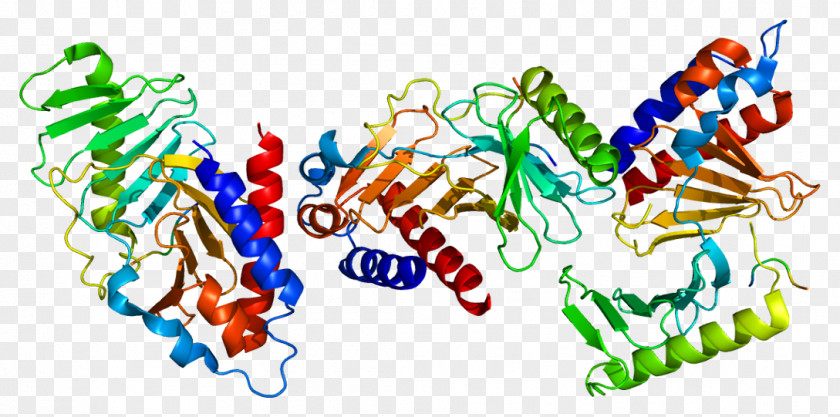 Atm Serinethreonine Kinase PLK1 Polo-like Volasertib Protein PNG
