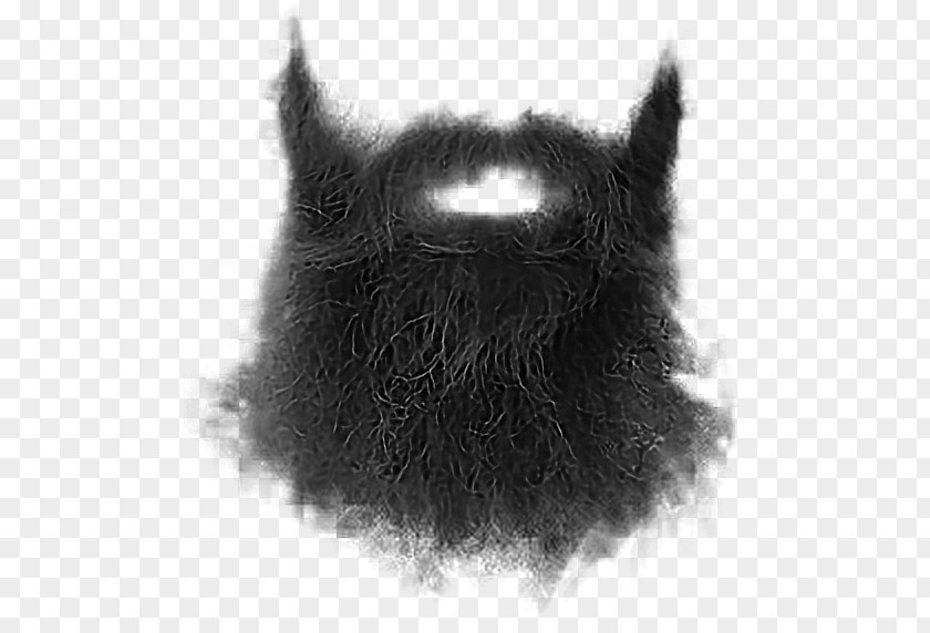 Beard Whiskers Moustache Goatee PNG