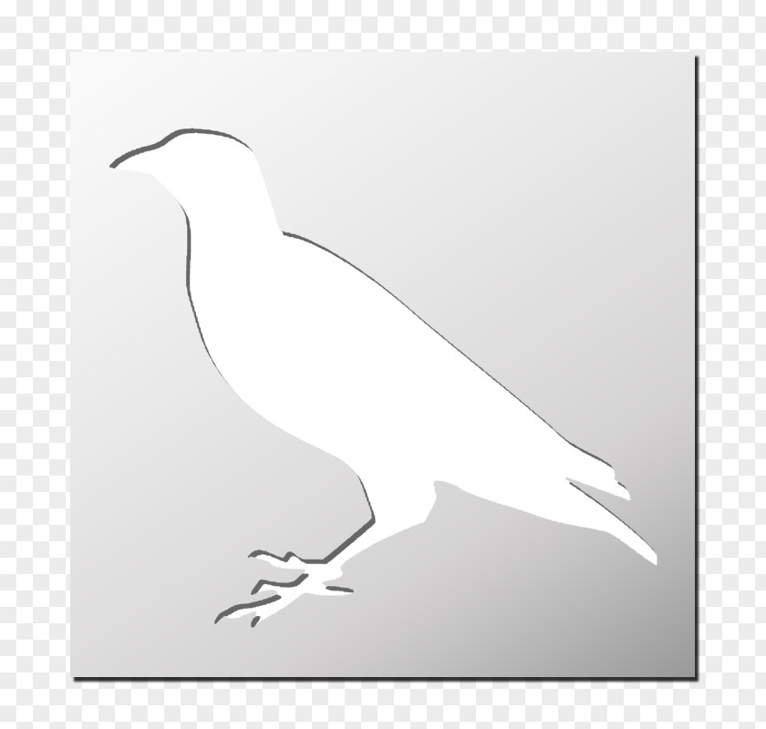 Bird Of Prey Stencil Silhouette FRENCHIMMO PNG