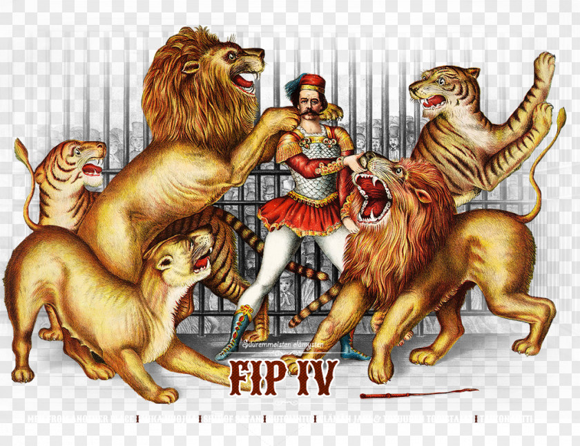 Circus Lion Taming Tiger Jaguar PNG