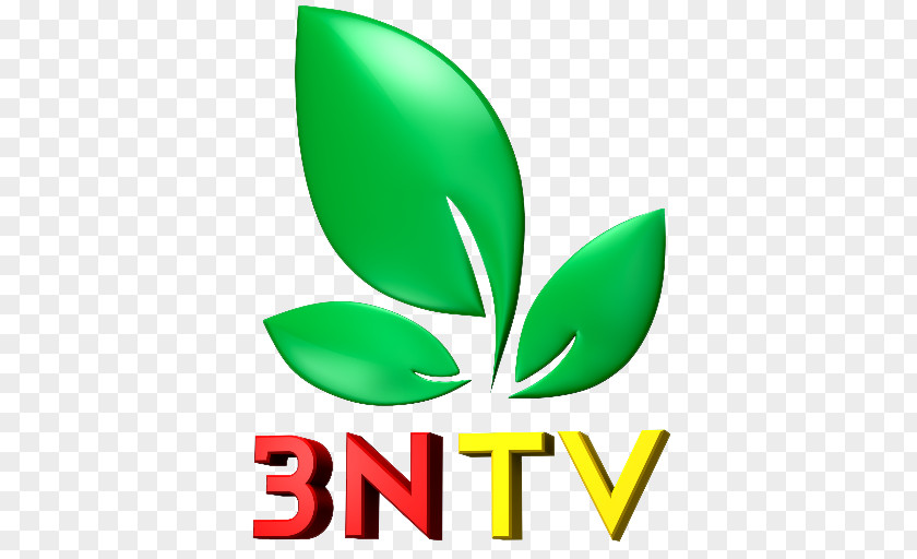 Logo Television Clip Art Brand TodayTV PNG
