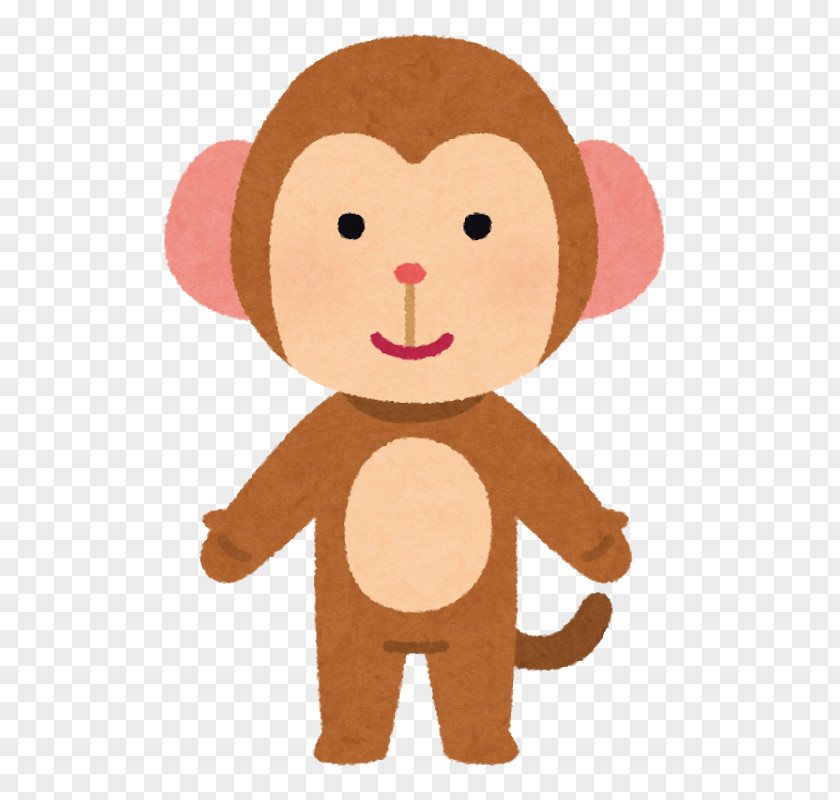Pygmy Slow Loris Monkey Japanese Macaque Primate Human PNG
