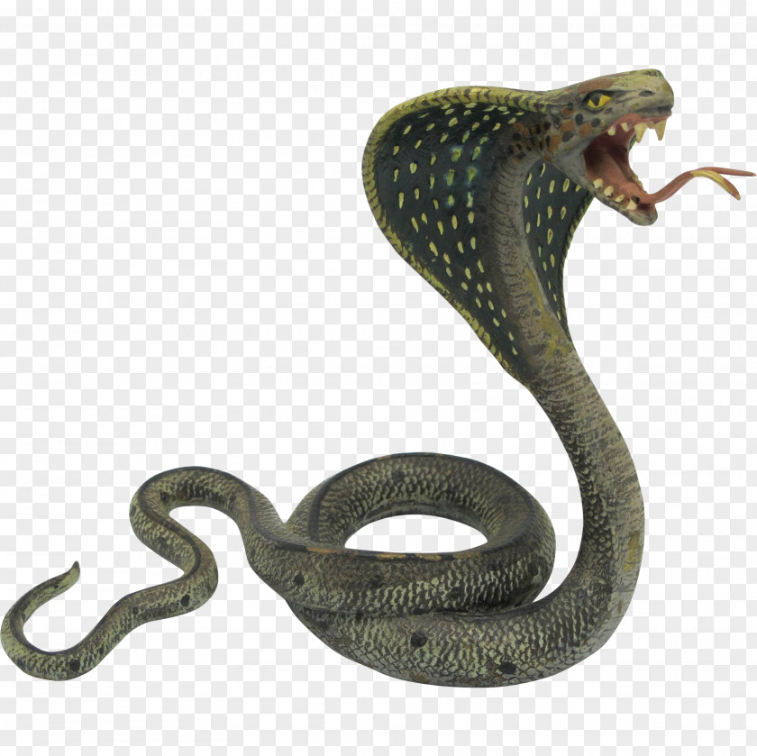 Snakes Snake King Cobra Indian PNG