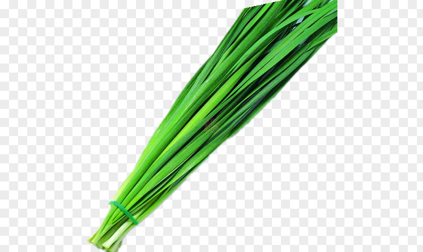 Vegetable Allium Fistulosum Scallion Food PNG