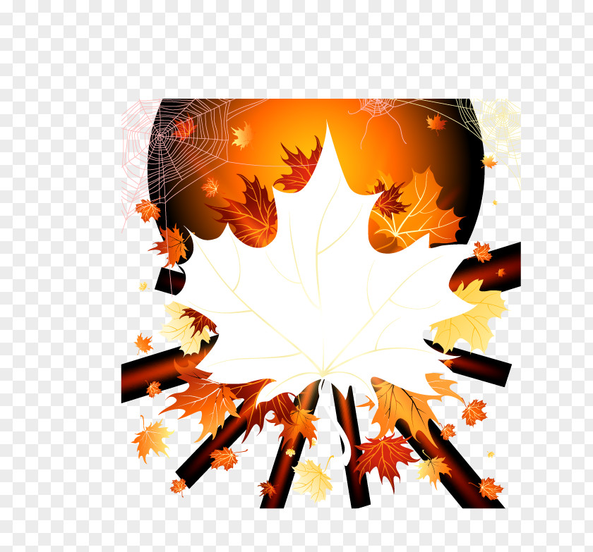 Autumn Leaves Leaf Illustration PNG