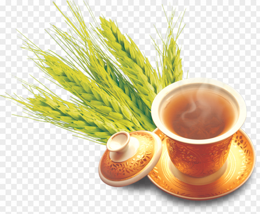 Free HD Clips Buckle Warm Barley Tea Mate Cocido Wheat PNG