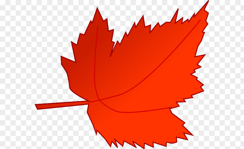 Maple Leaf Autumn Color Clip Art PNG