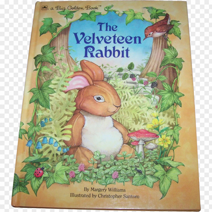 Rabbit The Velveteen Whispering Tale Of Peter Little Cottontail PNG