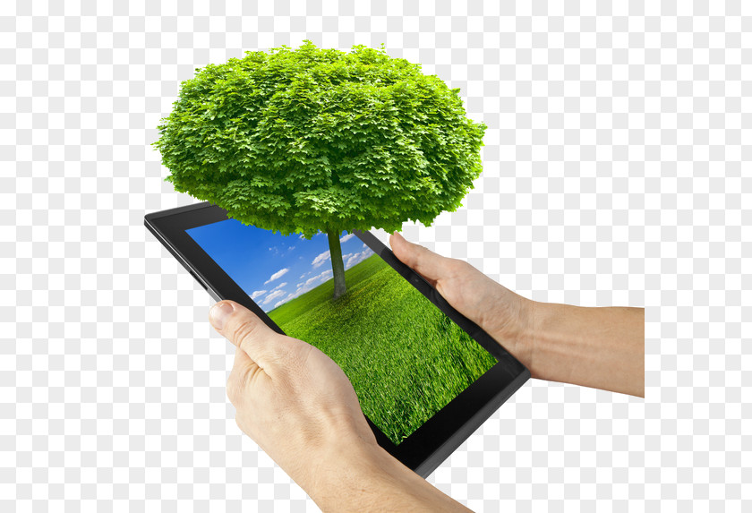 Tree On Your Computer Environmentally Friendly Carpet Green Computing Business PNG