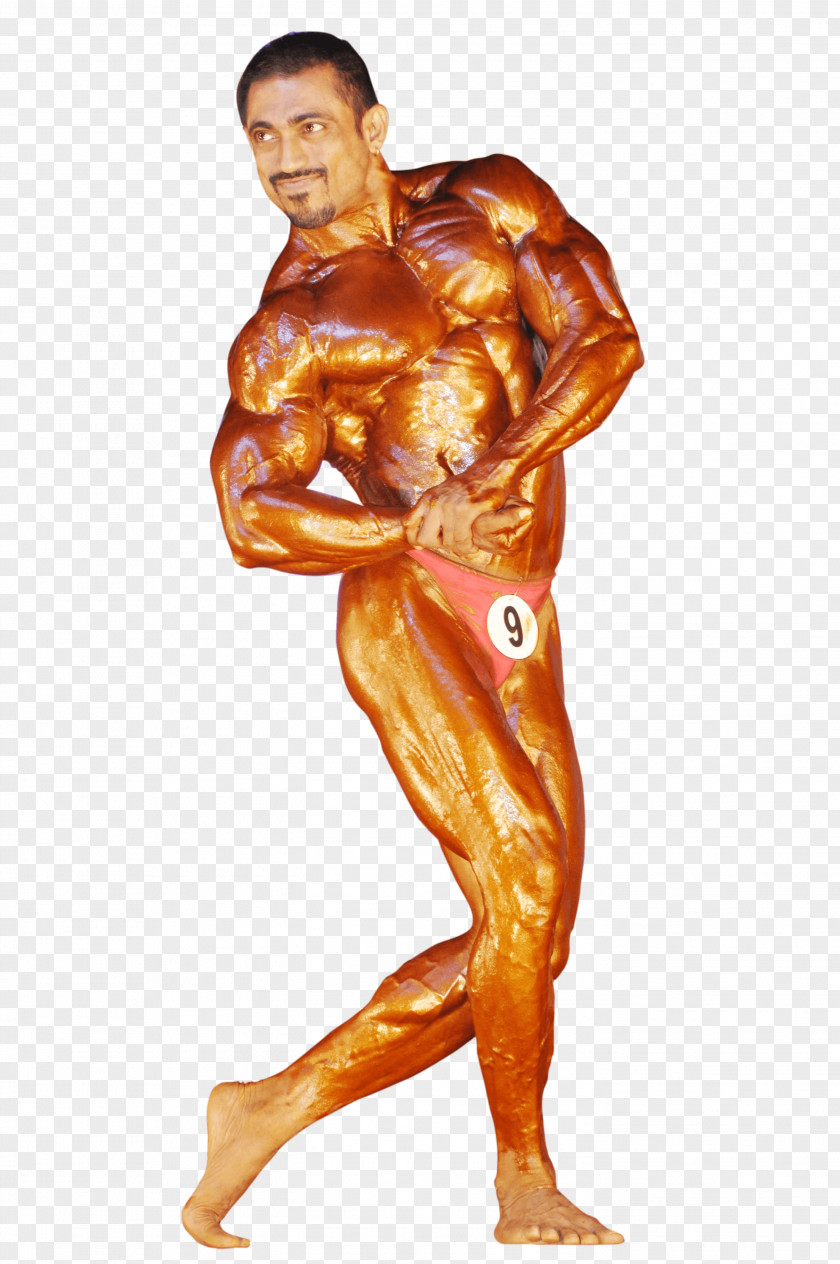 Bodybuilding Female Physical Fitness Human Body Muscle PNG