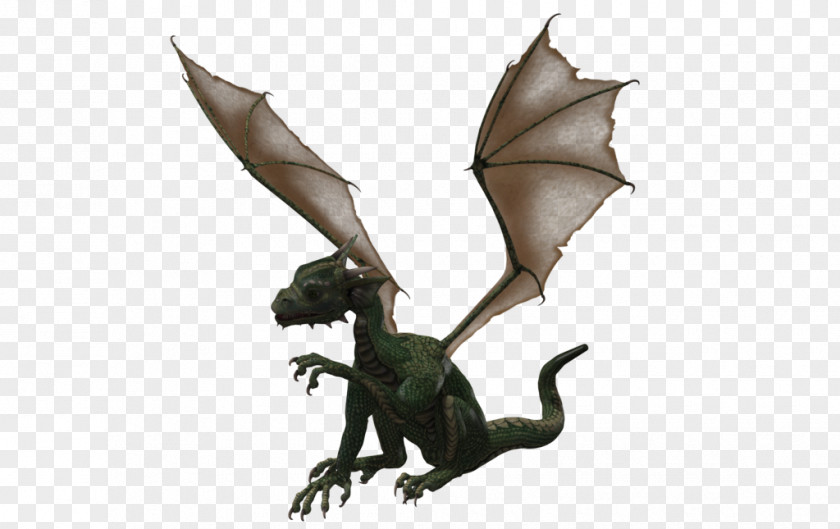 Free Pictures Of Dragons Dragon Stock.xchng Clip Art PNG