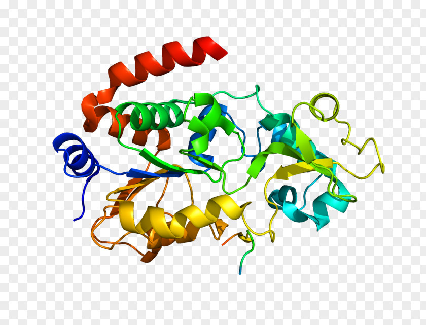 Human Growth Hormone Molecule Protein Sirtuin 3 Molecular Biology Chemistry PNG