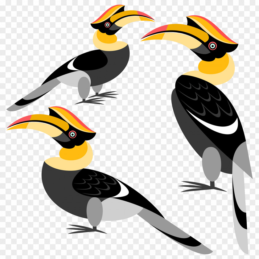 Parrot Bird Great Hornbill Rhinoceros PNG