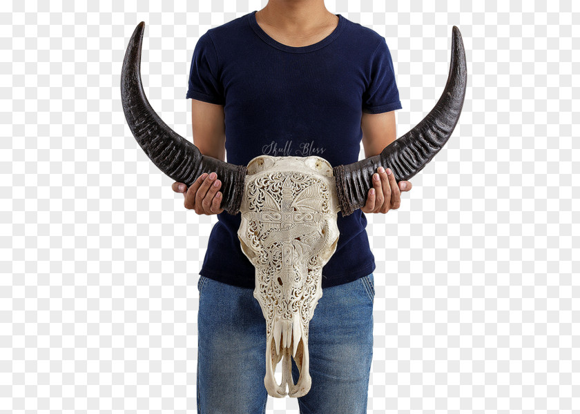 Skull XL Horns Cattle Ganesha PNG