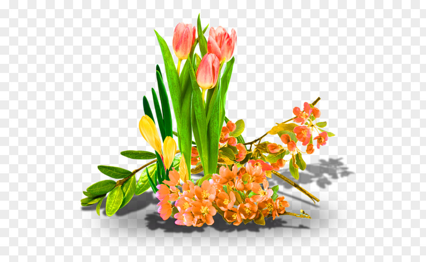 Tulip Flower Spring Clip Art PNG