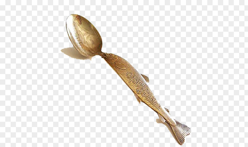 Golden Fish Spoon Carassius Auratus Bone PNG