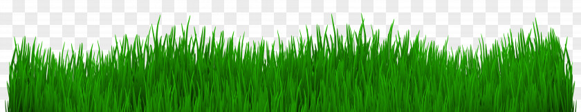 Grass Desktop Wallpaper Wheatgrass Clip Art PNG