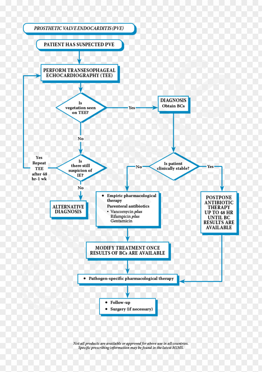 Heart Treatment Of Infective Endocarditis Therapy Infection PNG