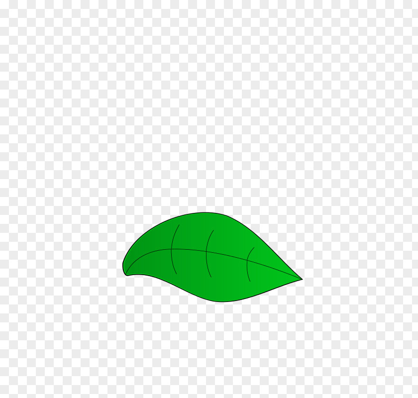 Leaf Line Angle PNG