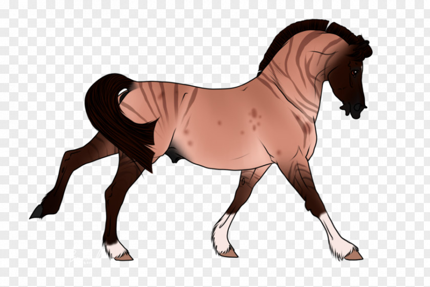 Mustang Stallion Mare Rein Mane PNG