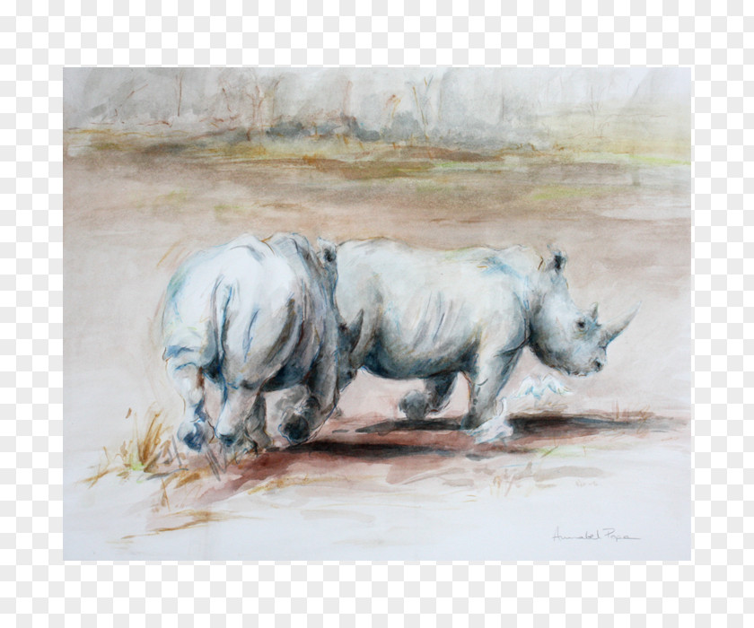 Painting Rhinoceros Watercolor Terrestrial Animal PNG