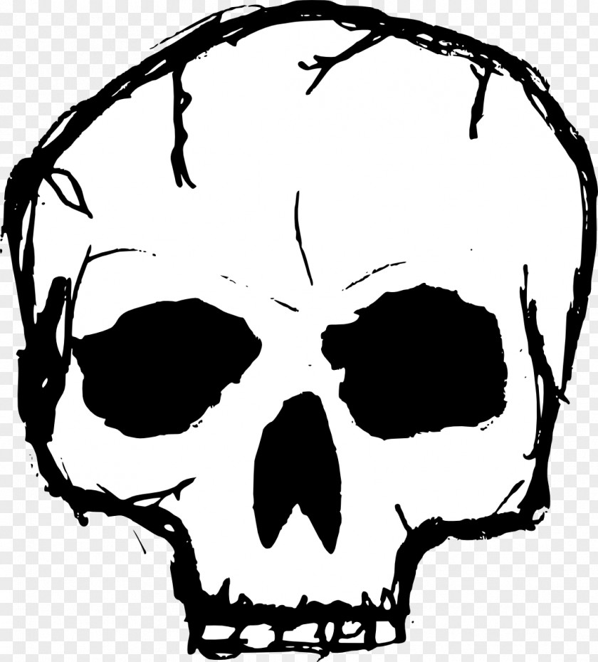 Skull Drawing Face Clip Art PNG