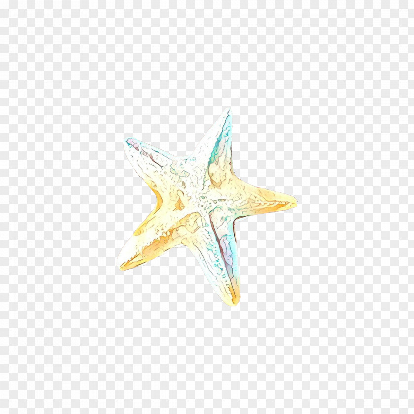 Star Yellow Jewellery Starfish PNG