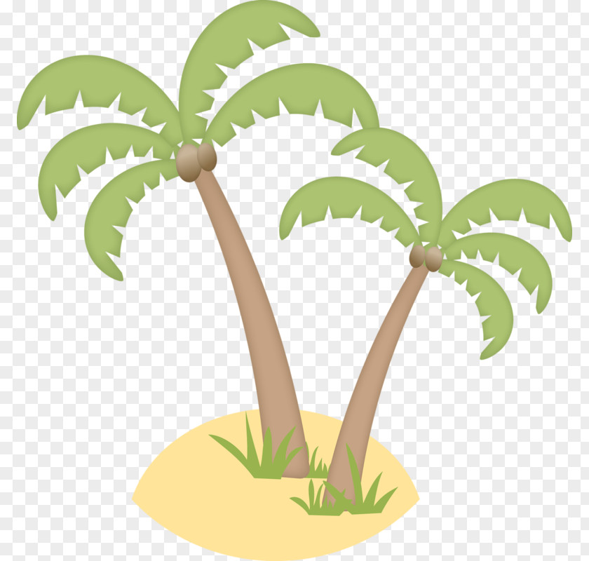 Vector Coconut Trees Albom Clip Art PNG