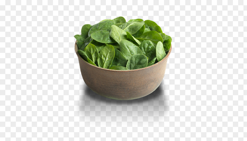Vegetable Spinach Vegetarian Cuisine Food Meat PNG