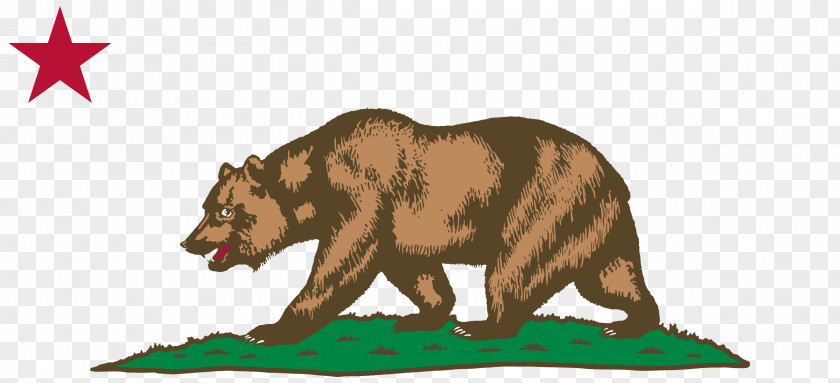 Bear California State Legislature Republican Party Bill Legislator PNG