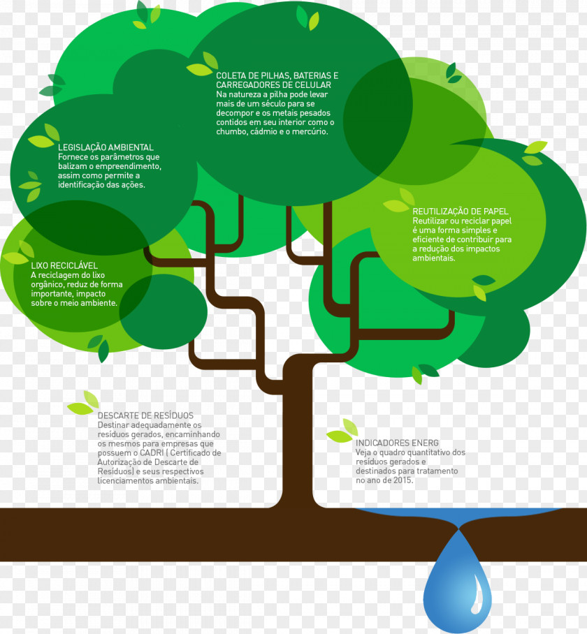 Energ Infographic Ecology PNG