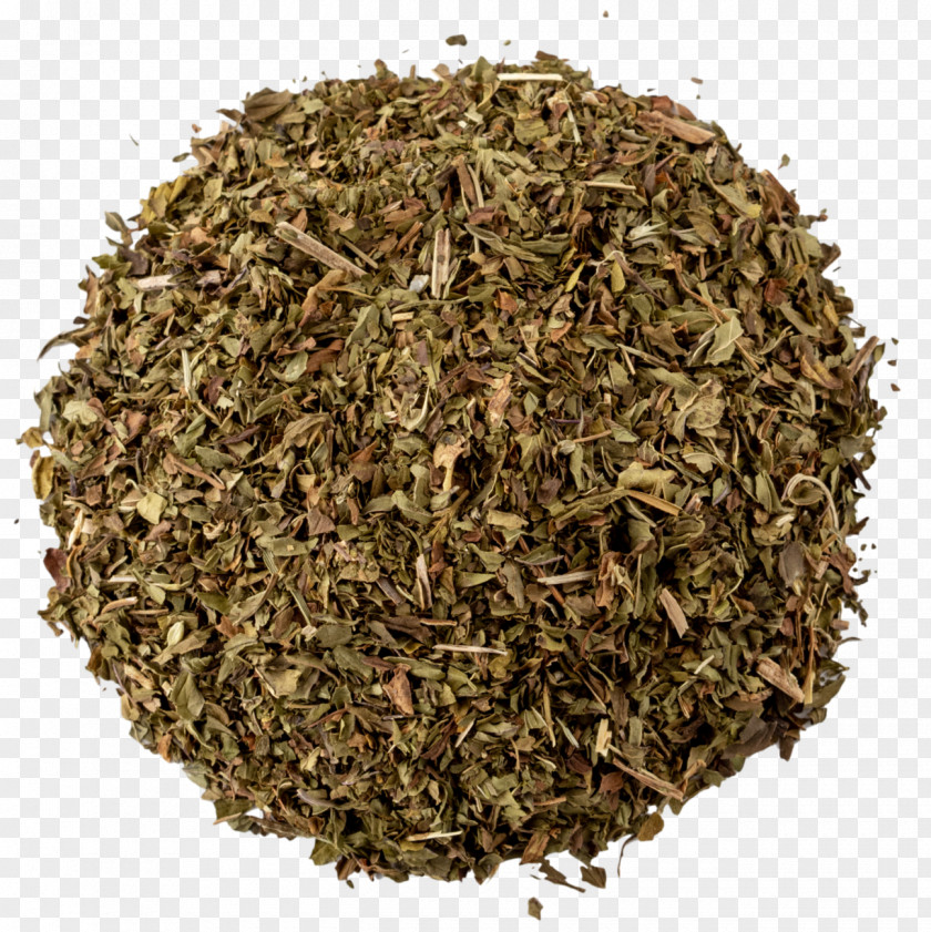 Hyssop Herbal Tea Valerian Green PNG