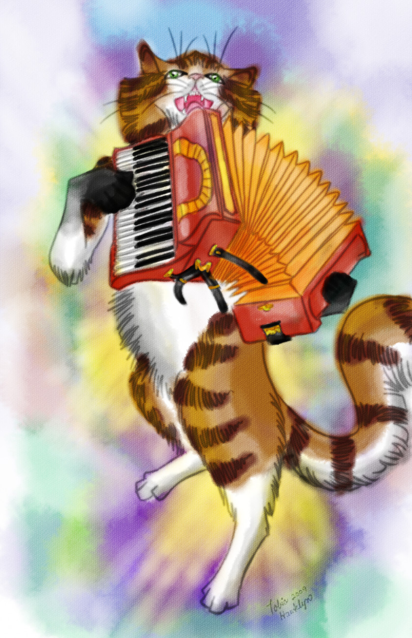 Accordion Cat Play And Toys Animal Rescue Group PNG