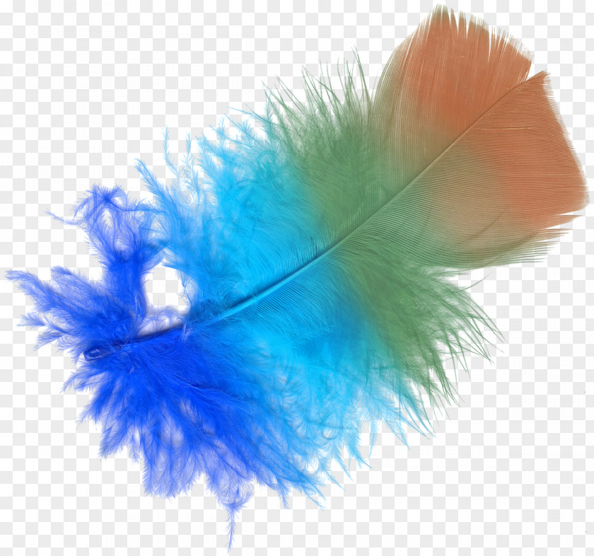 Feather Color Lossless Compression PNG