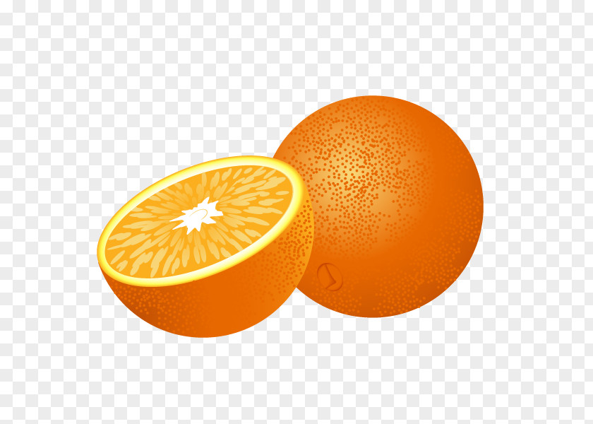 Juice Orange Fruit Clip Art PNG