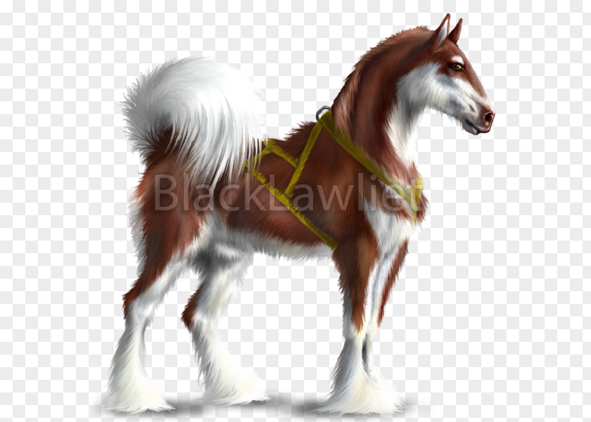 Mustang Howrse Thoroughbred American Paint Horse Alaskan Malamute PNG