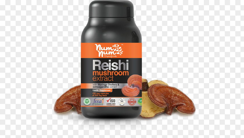 Reishi Mushroom Lingzhi Superfood Health Herb PNG