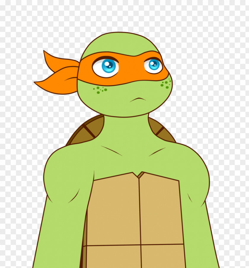Turtle Michaelangelo Raphael Donatello Hamato Yoshi PNG