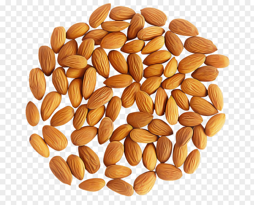 Almond Food Plant Nuts & Seeds Superfood PNG