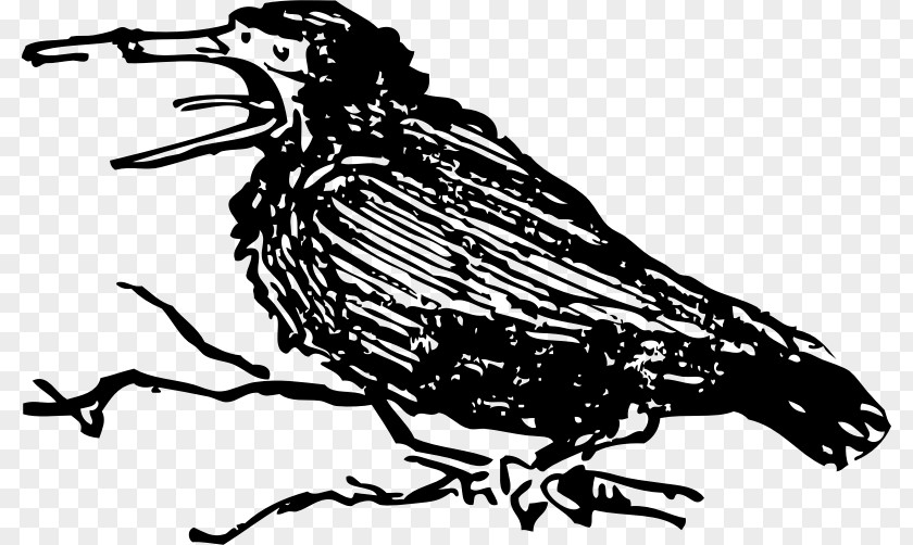 Crow Clip Art PNG