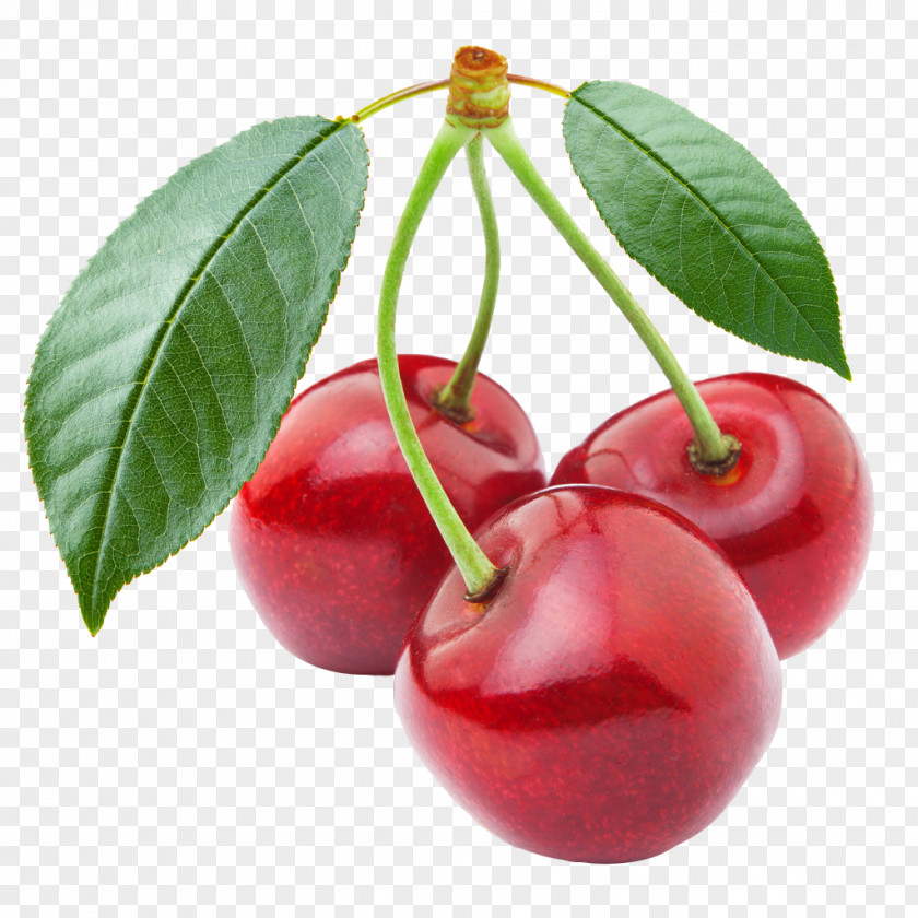 樱花 Fruit Canvas Print Cherries Art PNG