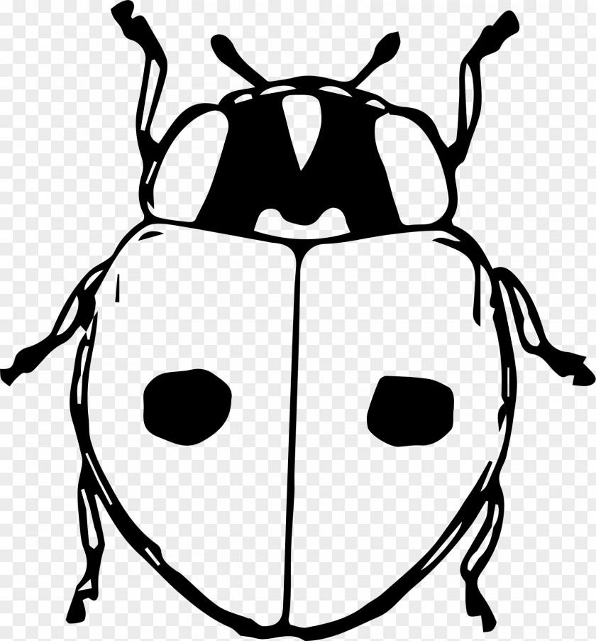 Beetle Ladybird Black And White Animal Clip Art PNG